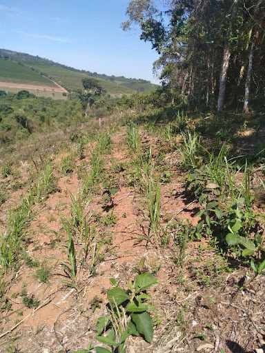 Terreno à venda, 24200M2 - Foto 5