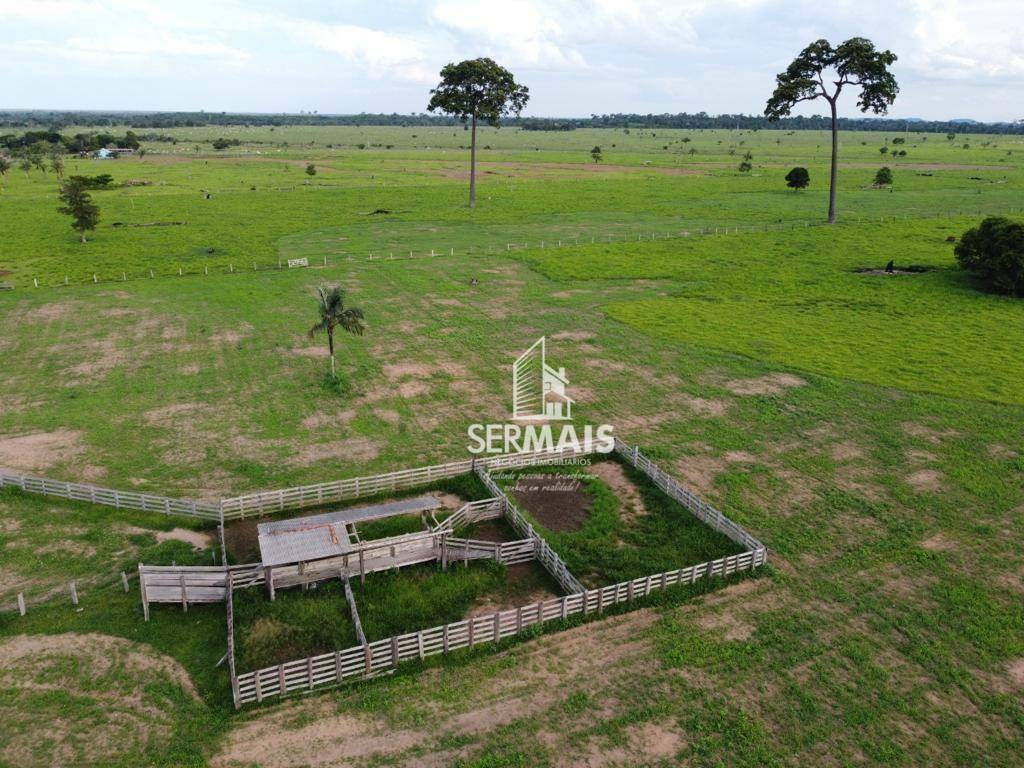 Fazenda-Sítio-Chácara, 305 hectares - Foto 3