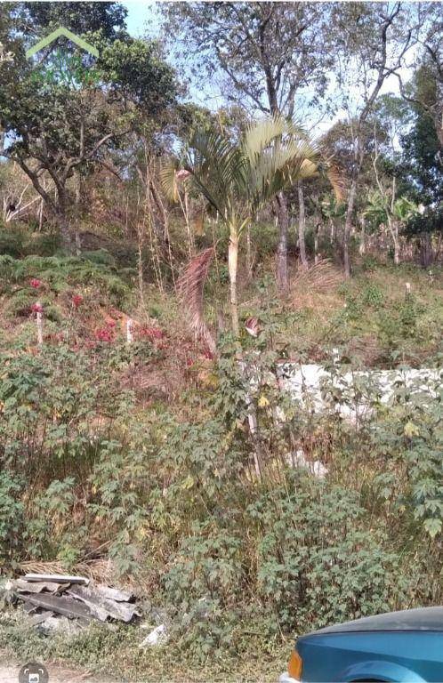 Terreno, 1125 m² - Foto 3