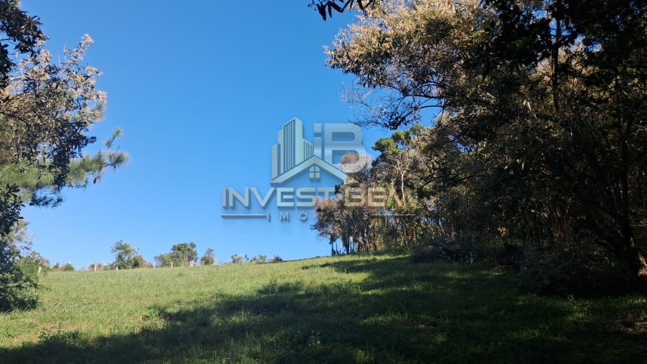 Sítio à venda com 6 quartos, 2m² - Foto 38