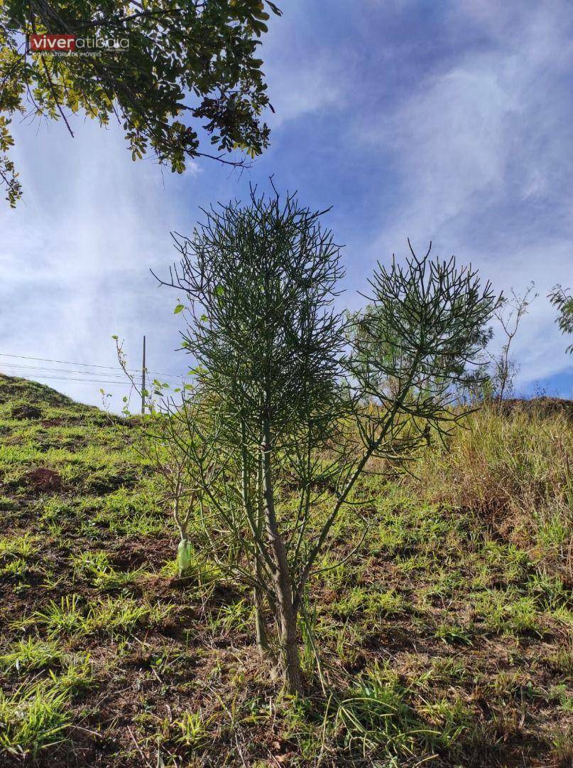 Terreno à venda, 600M2 - Foto 10