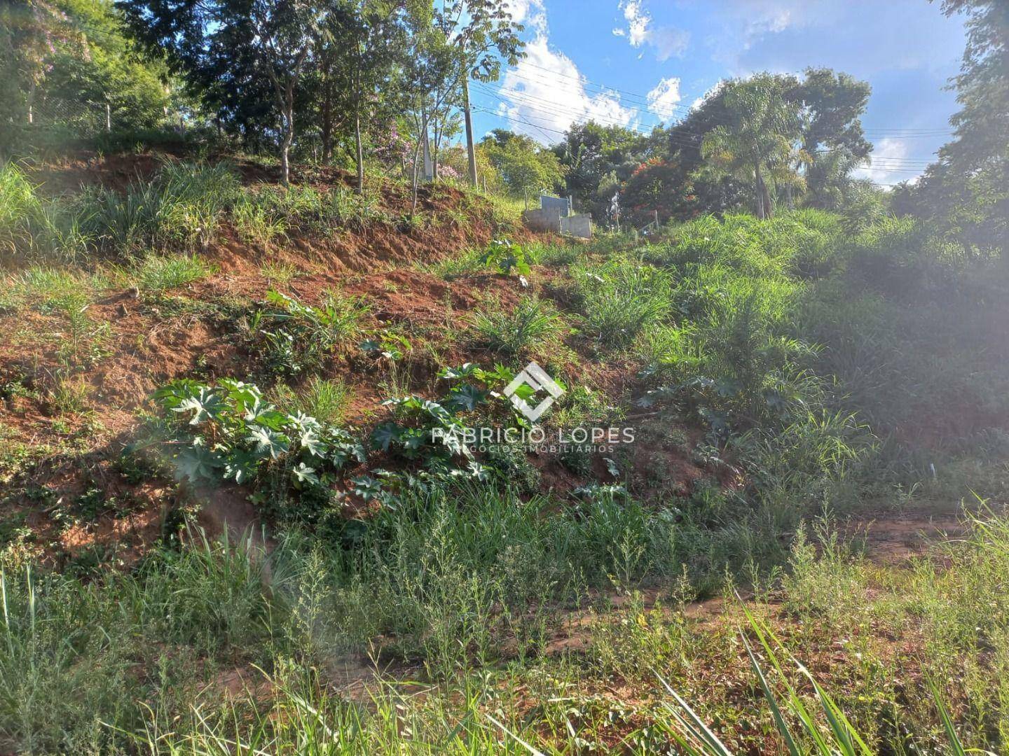 Loteamento e Condomínio à venda, 2024M2 - Foto 19