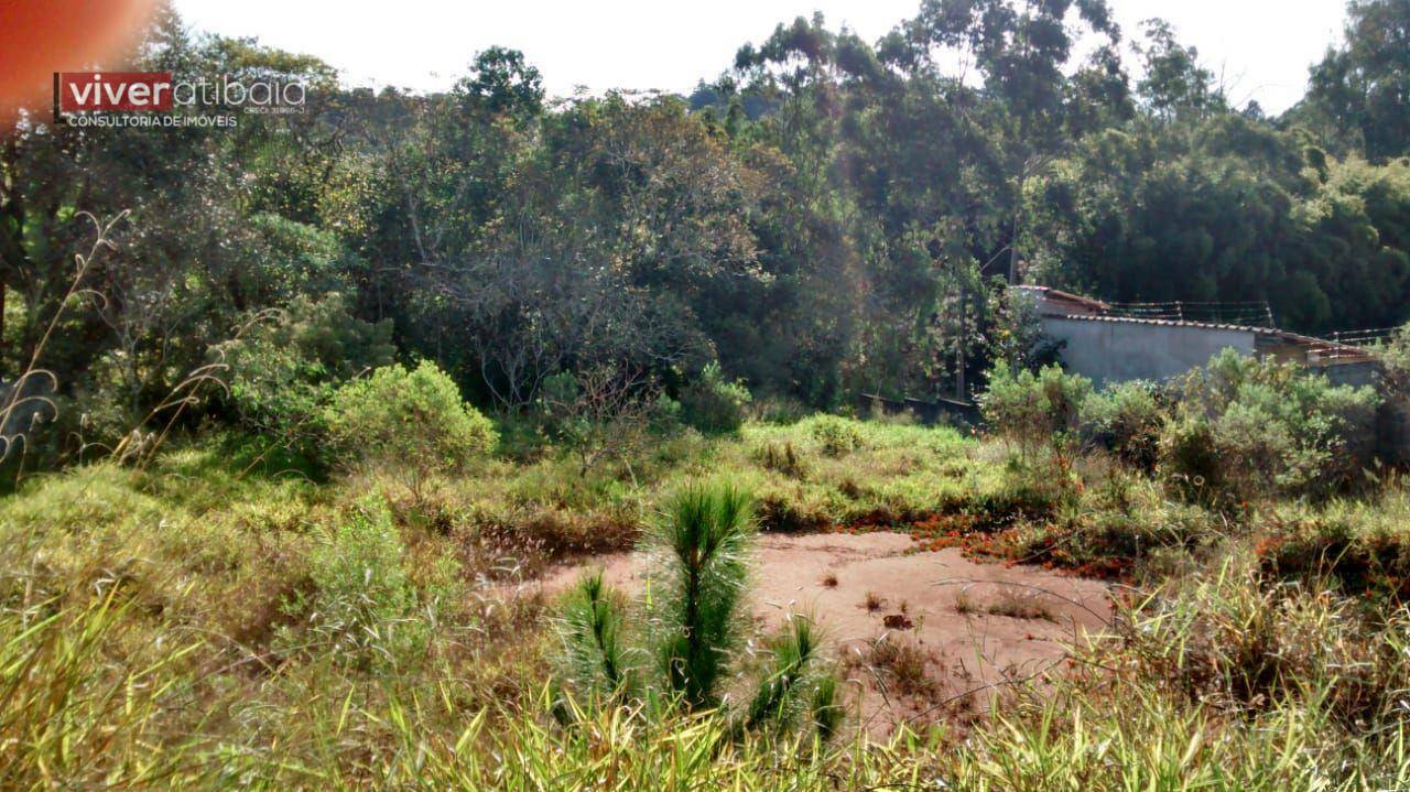 Terreno à venda, 1560M2 - Foto 3