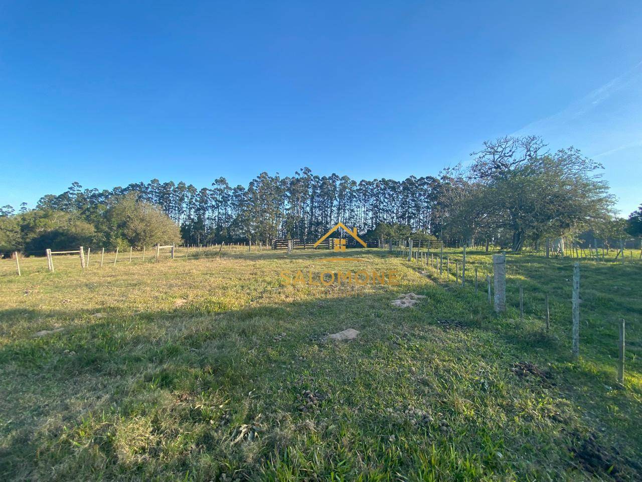 Sítio, 13 hectares - Foto 20