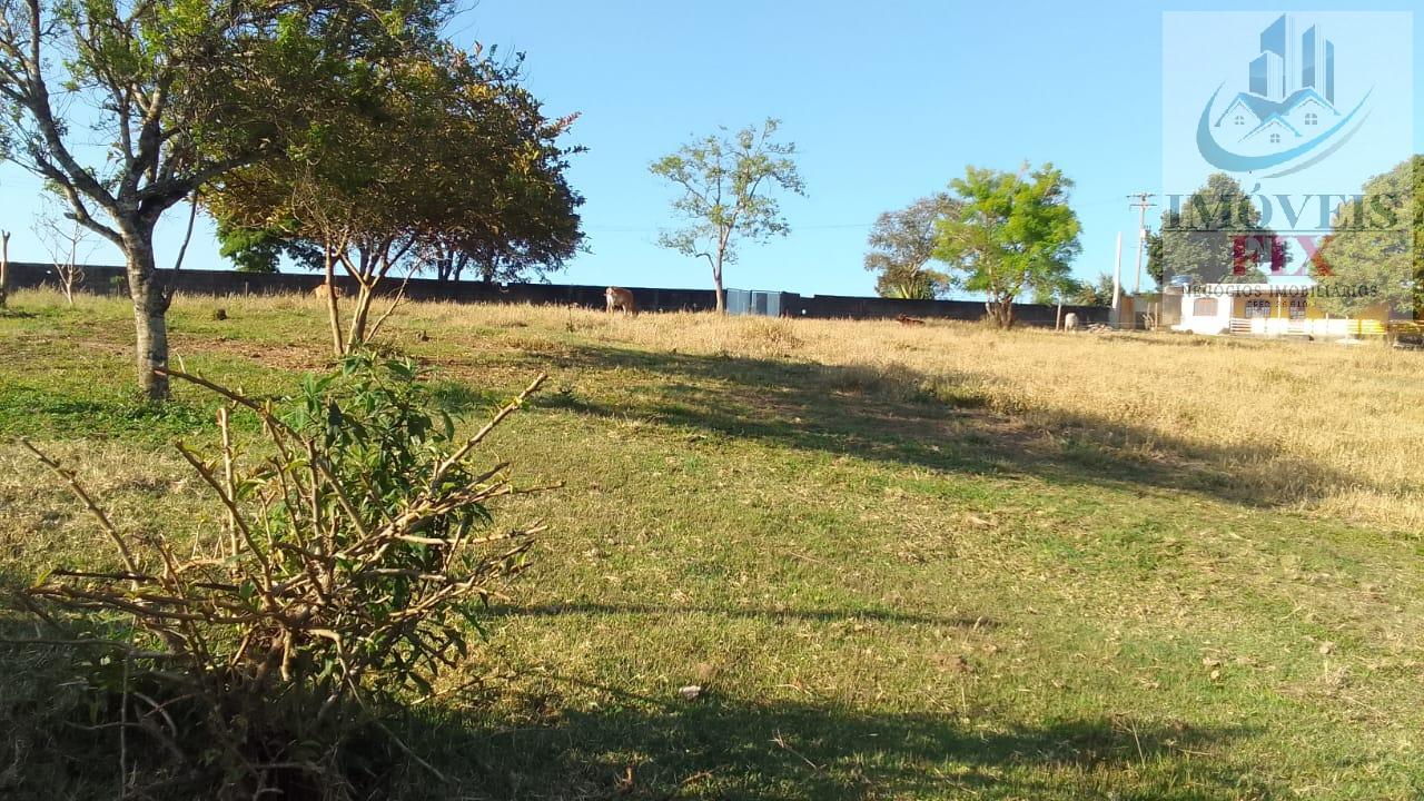 Fazenda à venda com 10 quartos, 1208m² - Foto 20