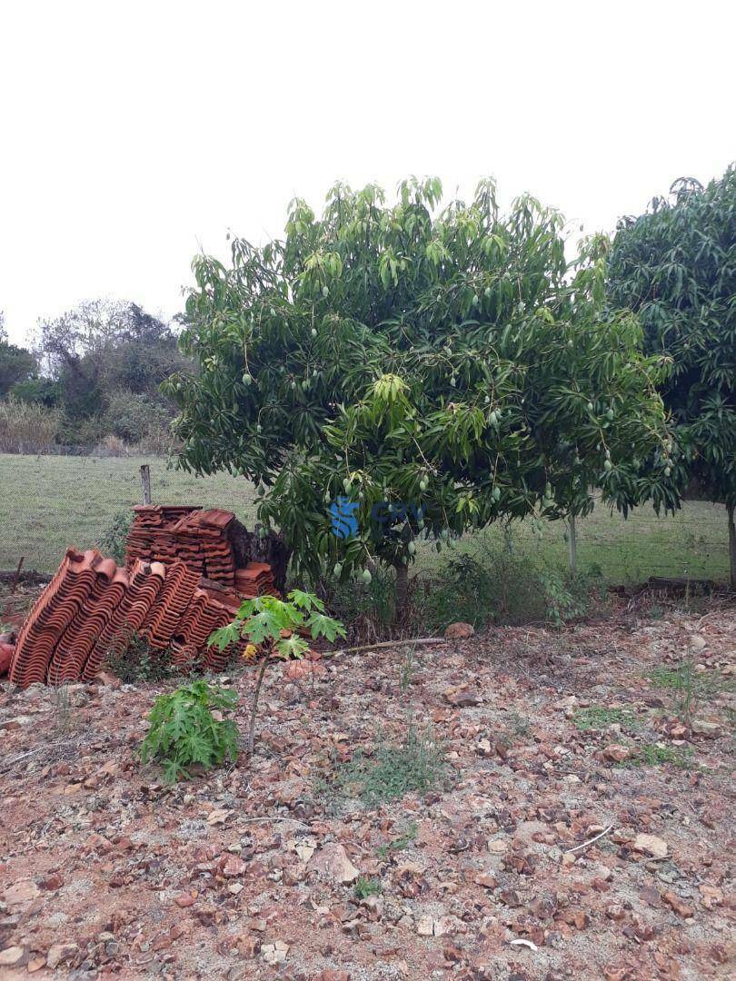 Chácara à venda com 3 quartos, 72600M2 - Foto 16