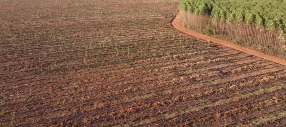 Fazenda à venda, 1700m² - Foto 5