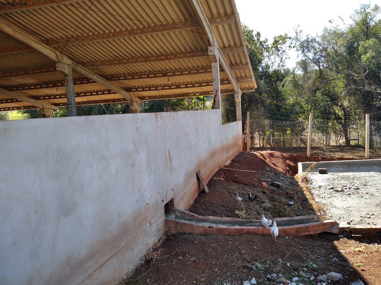 Fazenda para alugar com 3 quartos, 20000m² - Foto 2