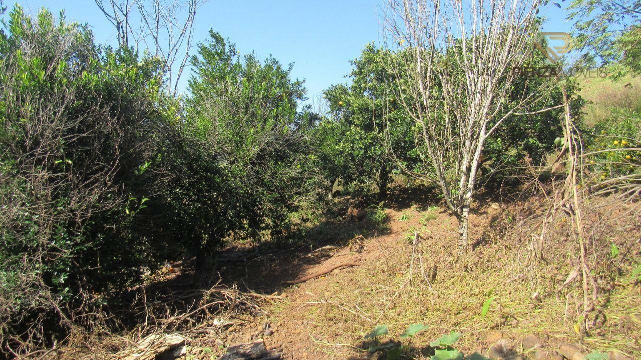 Terreno à venda, 30000M2 - Foto 5