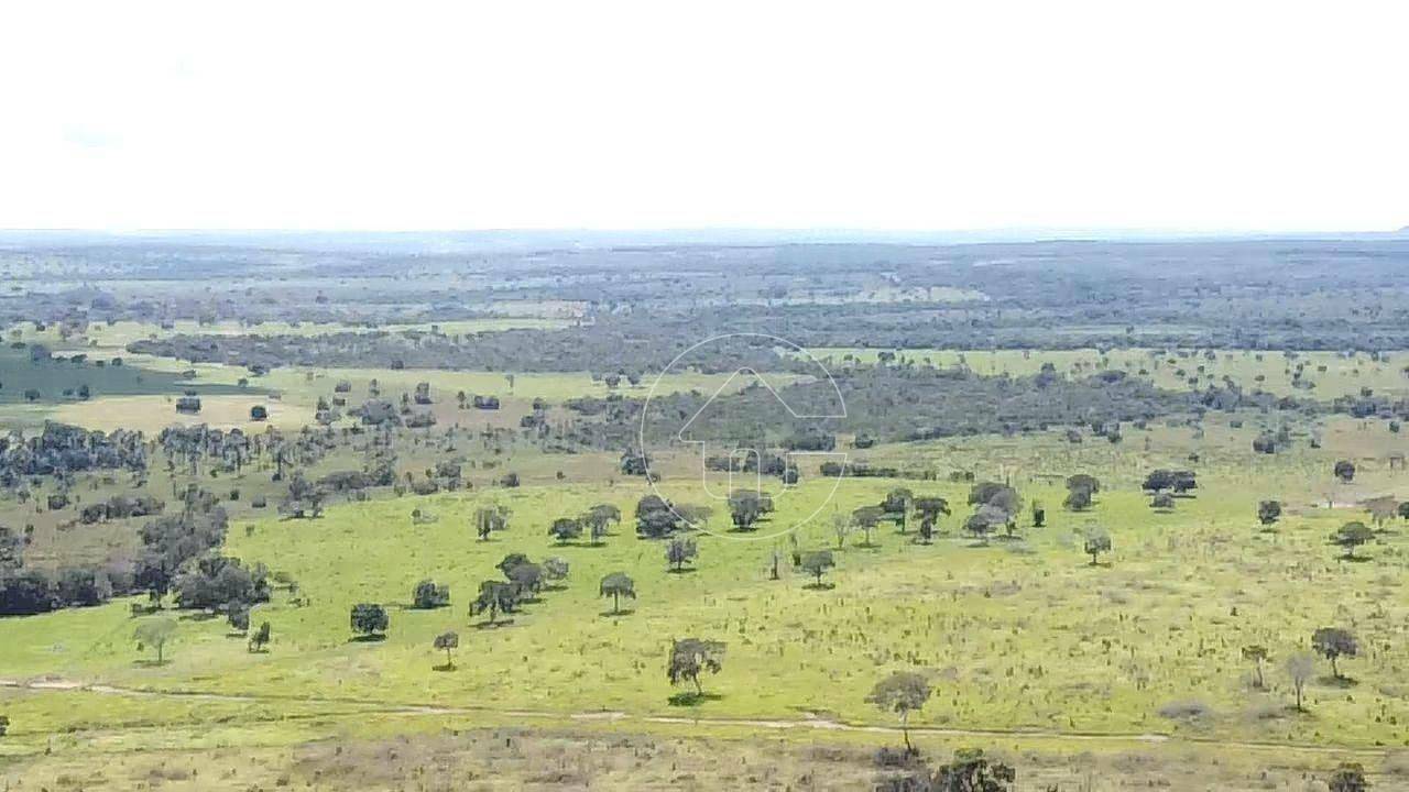 Fazenda à venda, 9970000M2 - Foto 27