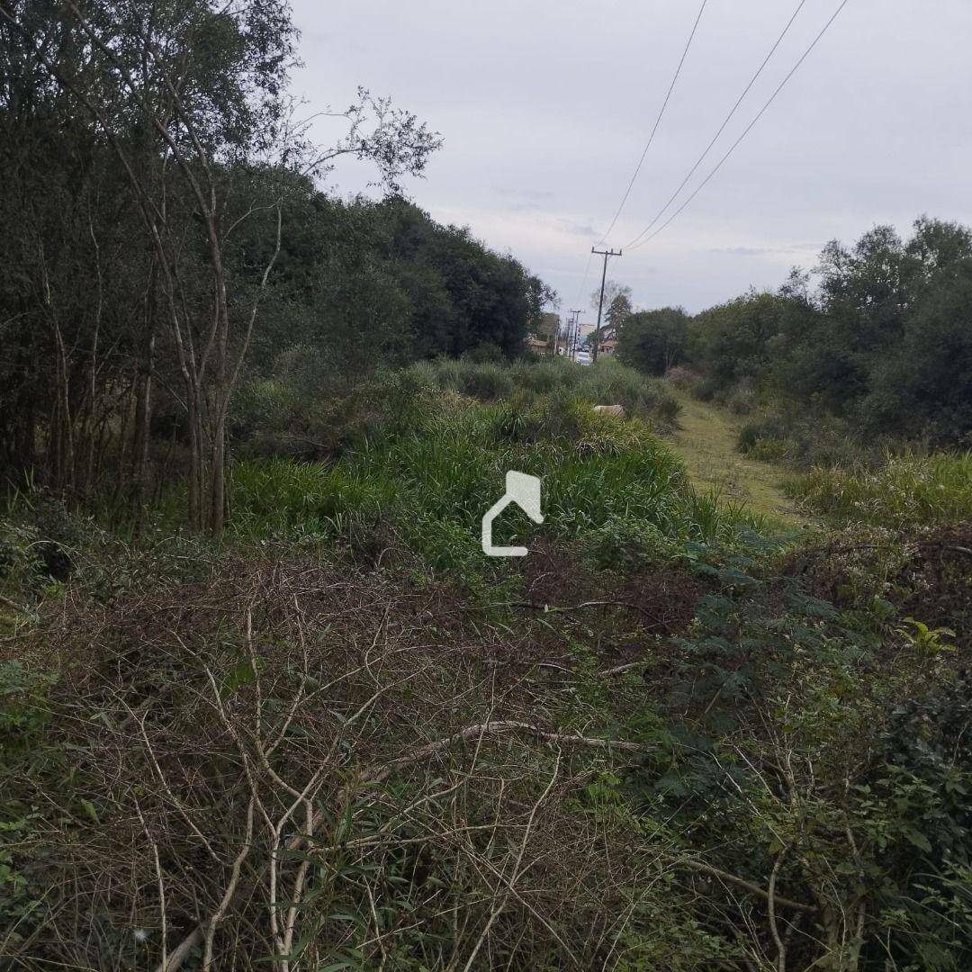 Terreno à venda, 10000M2 - Foto 2