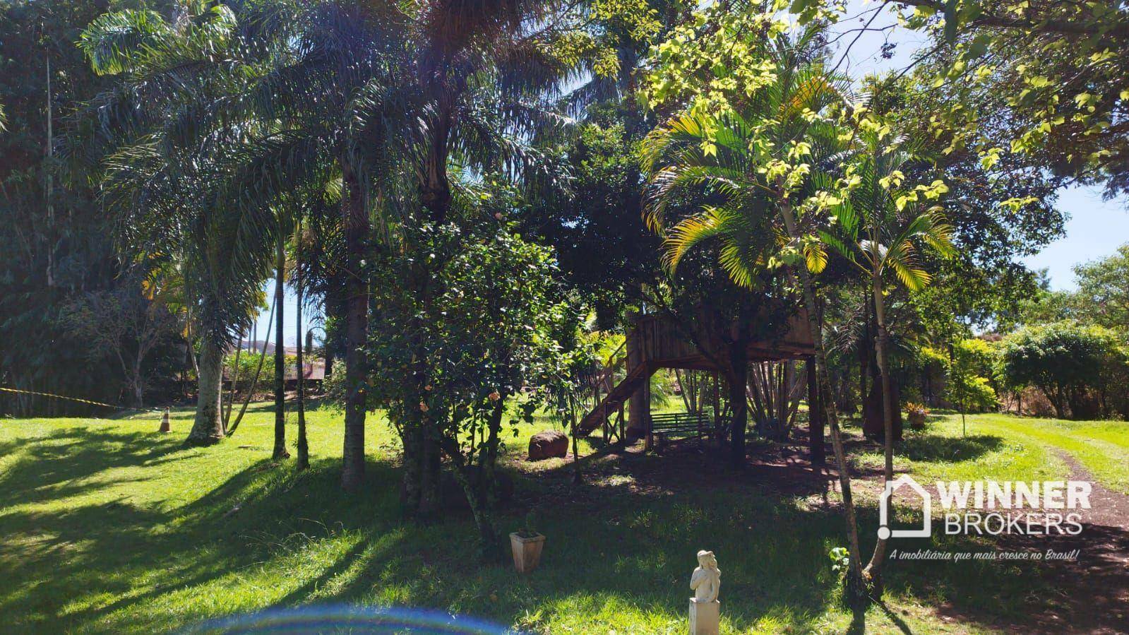 Chácara à venda com 1 quarto, 176m² - Foto 11