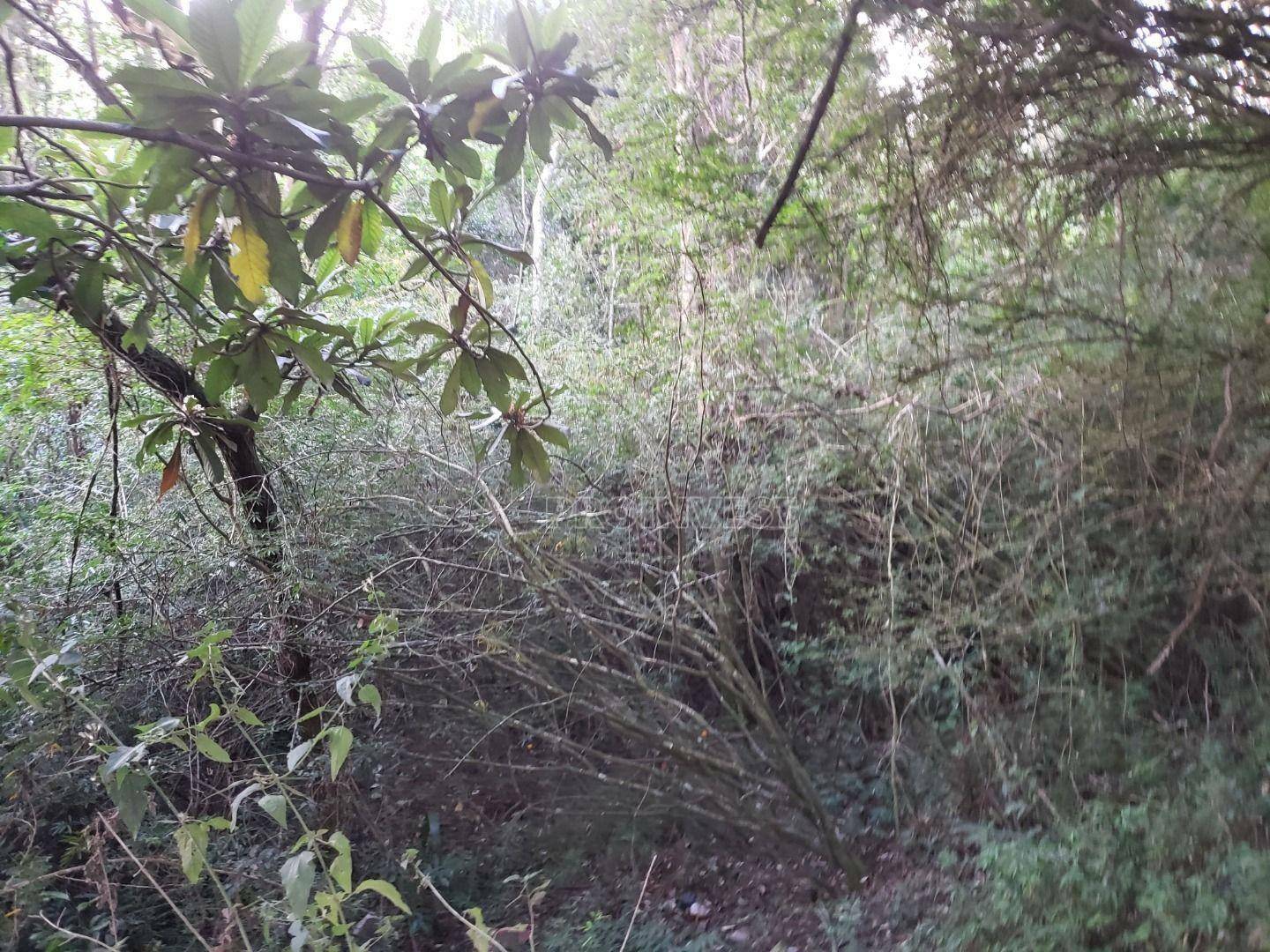 Loteamento e Condomínio à venda, 1640M2 - Foto 8