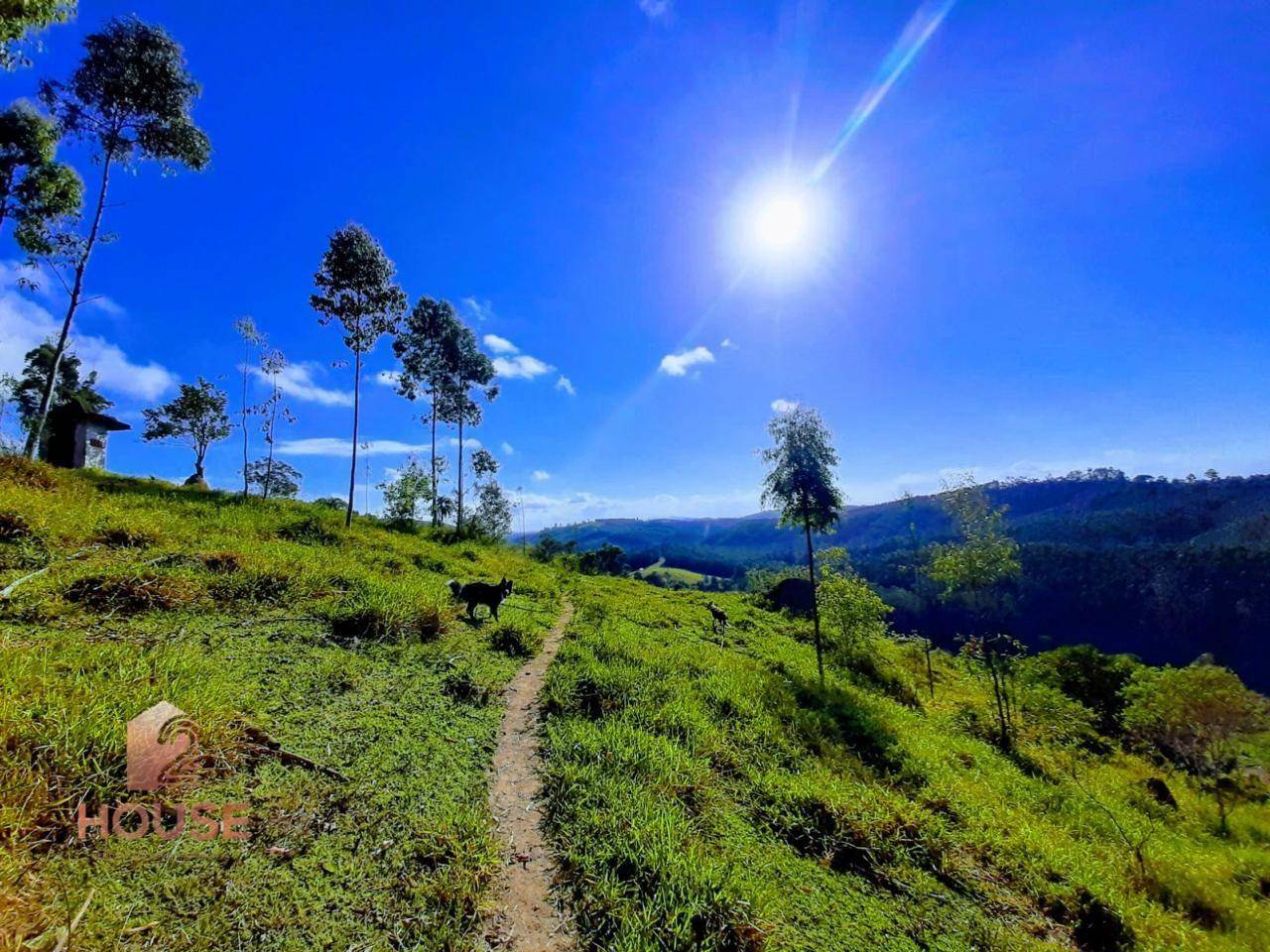 Fazenda à venda, 410000M2 - Foto 11