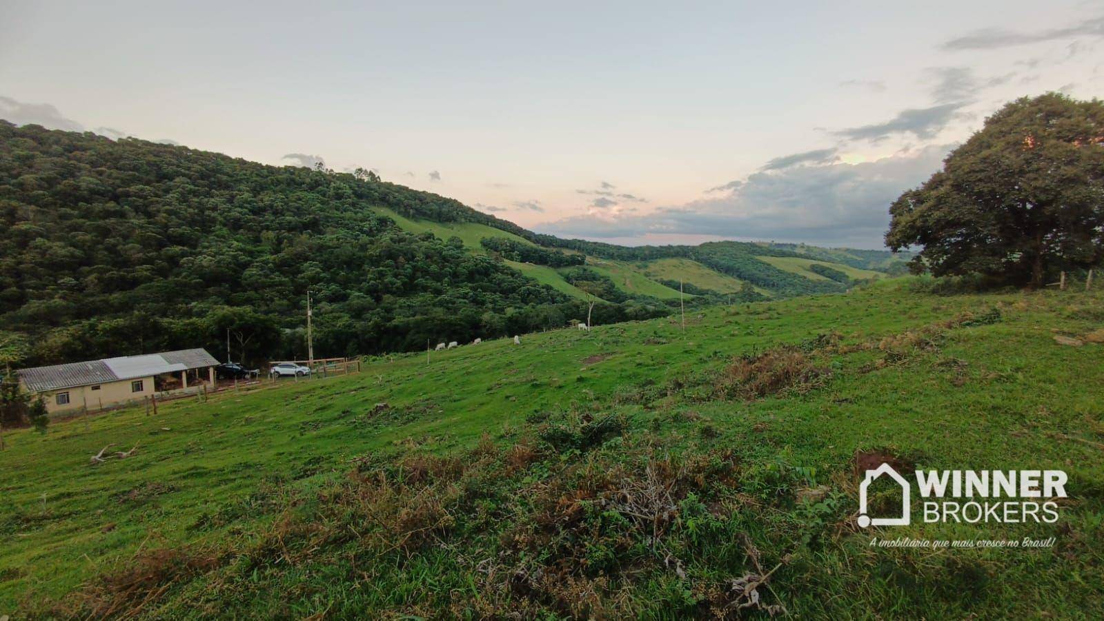 Sítio, 4 quartos, 34 hectares - Foto 12