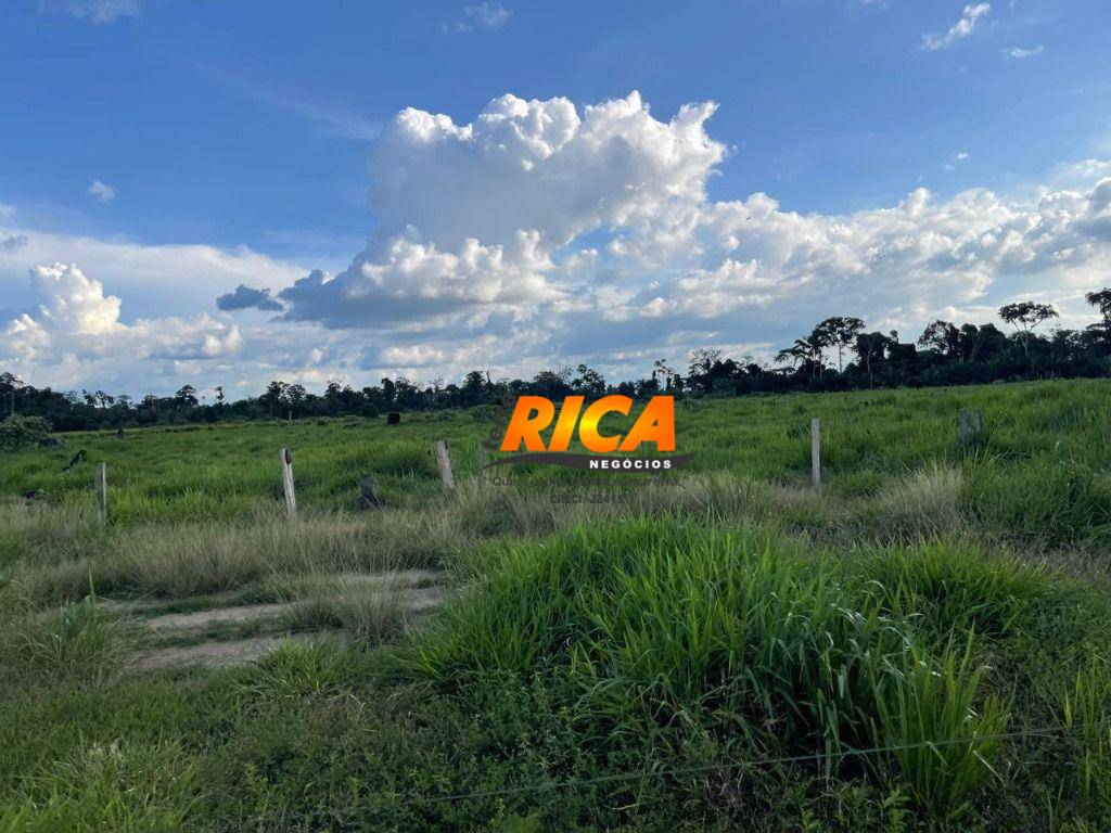 Sítio, 40 hectares - Foto 28