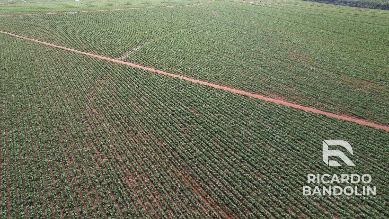 Fazenda à venda, 1m² - Foto 6