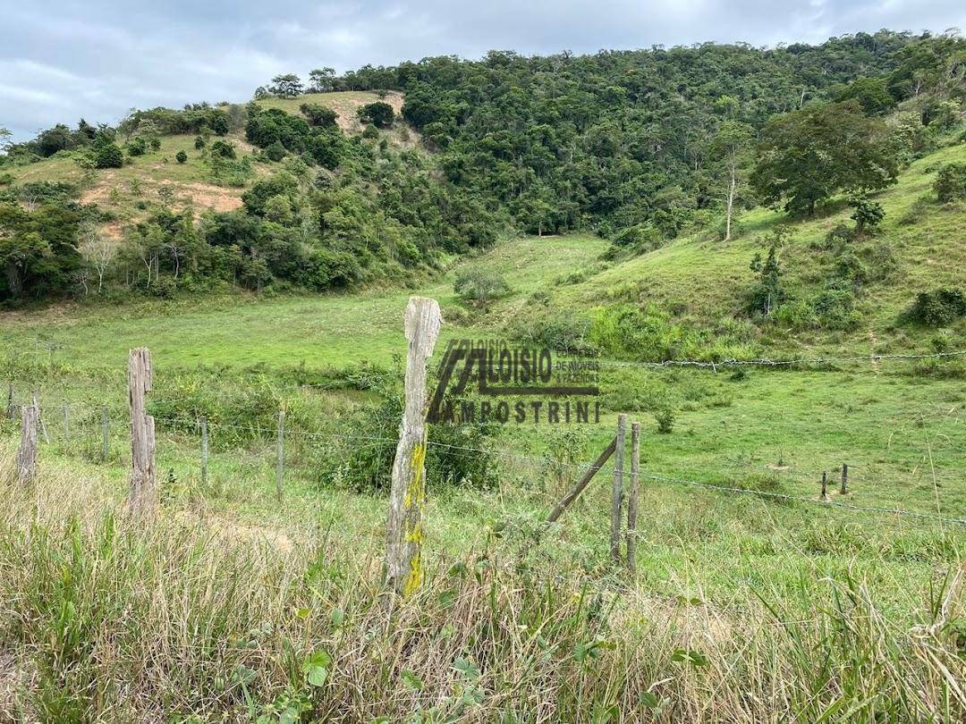 Fazenda à venda, 2420000M2 - Foto 19