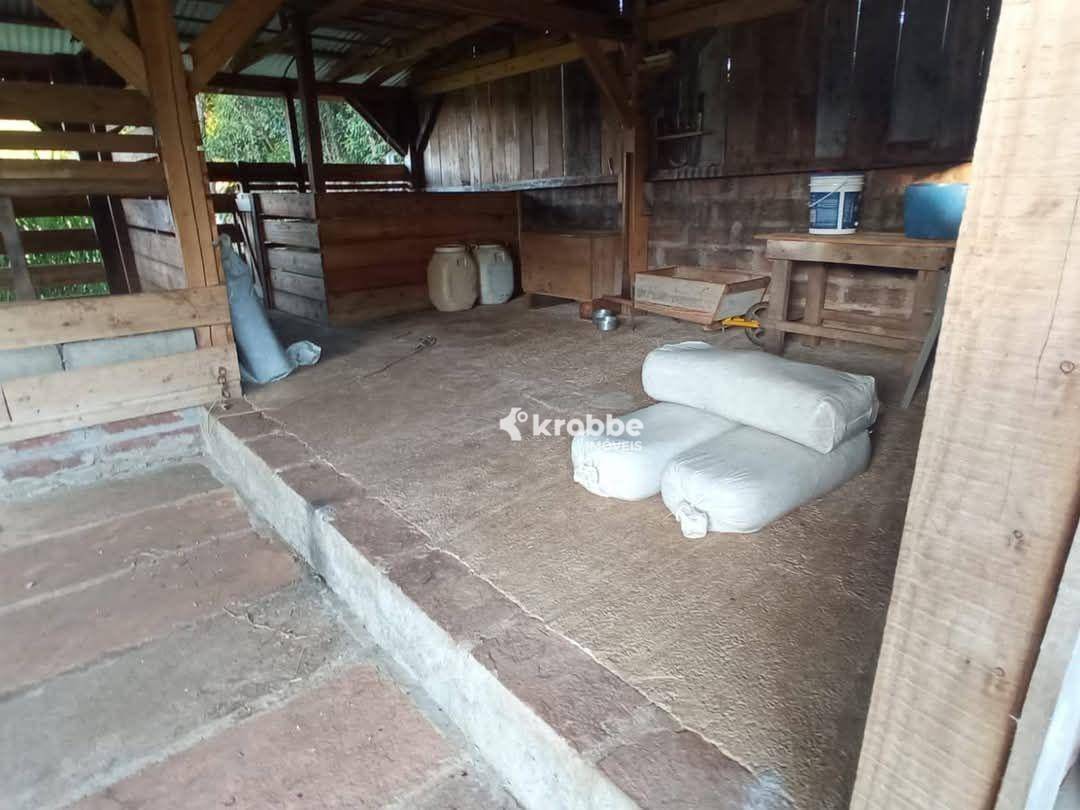 Chácara à venda com 3 quartos, 3600M2 - Foto 8