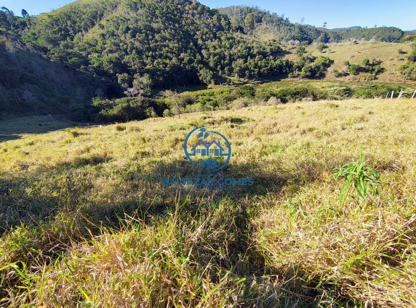Terreno à venda, 10000m² - Foto 3