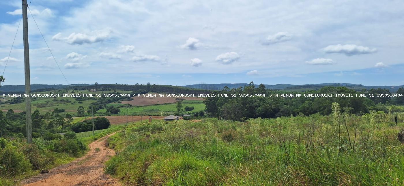 Chácara à venda com 3 quartos, 20000m² - Foto 3