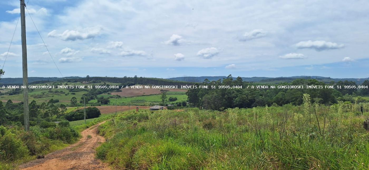 Fazenda à venda com 3 quartos, 2m² - Foto 1