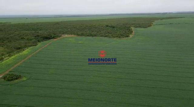 Fazenda à venda com 1 quarto, 10000000M2 - Foto 21