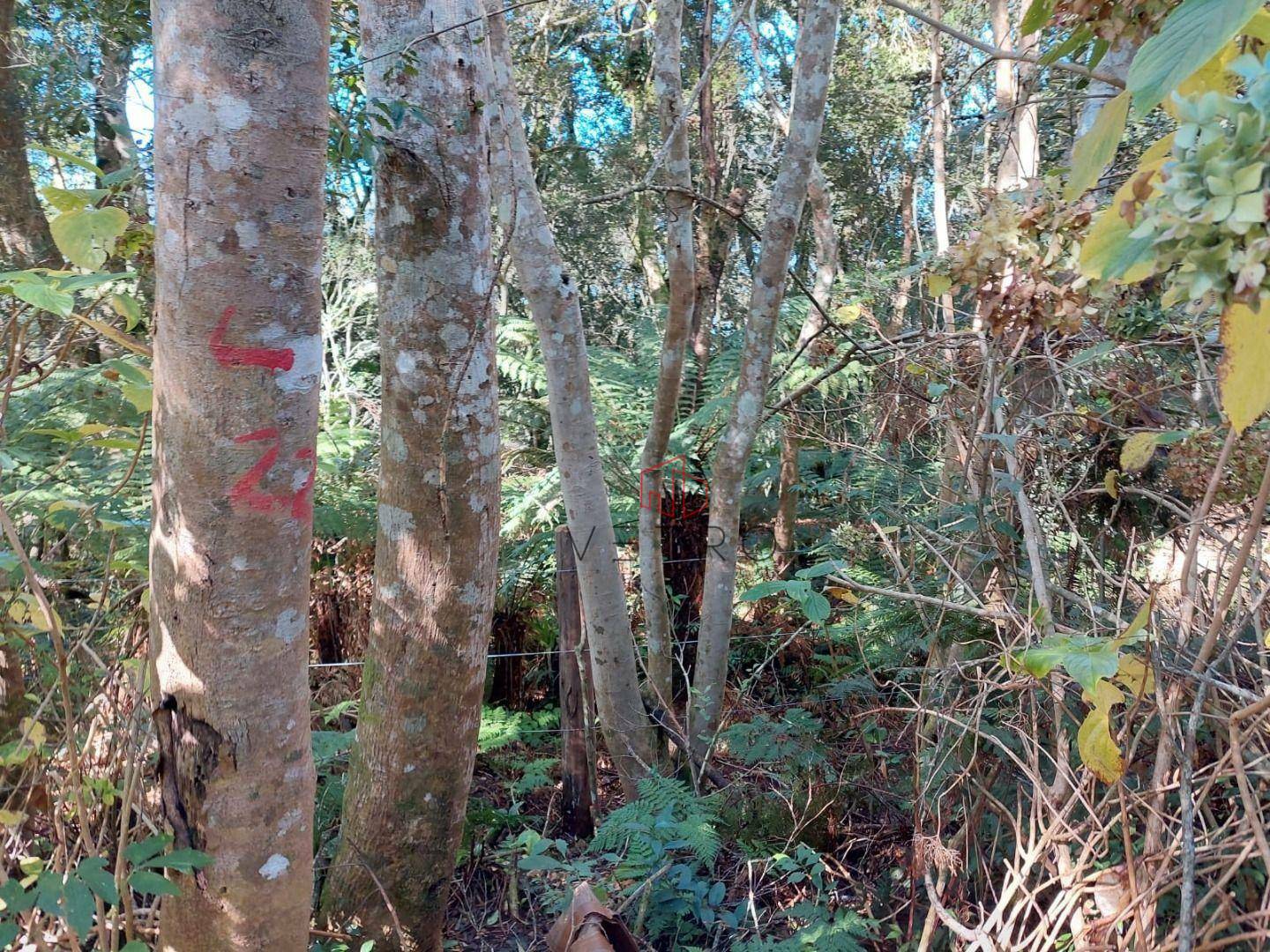 Loteamento e Condomínio à venda, 640M2 - Foto 4