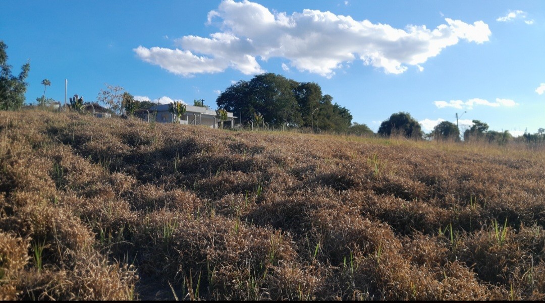Chácara à venda, 5000m² - Foto 11