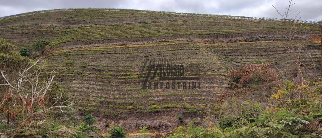 Fazenda à venda, 1452000M2 - Foto 38