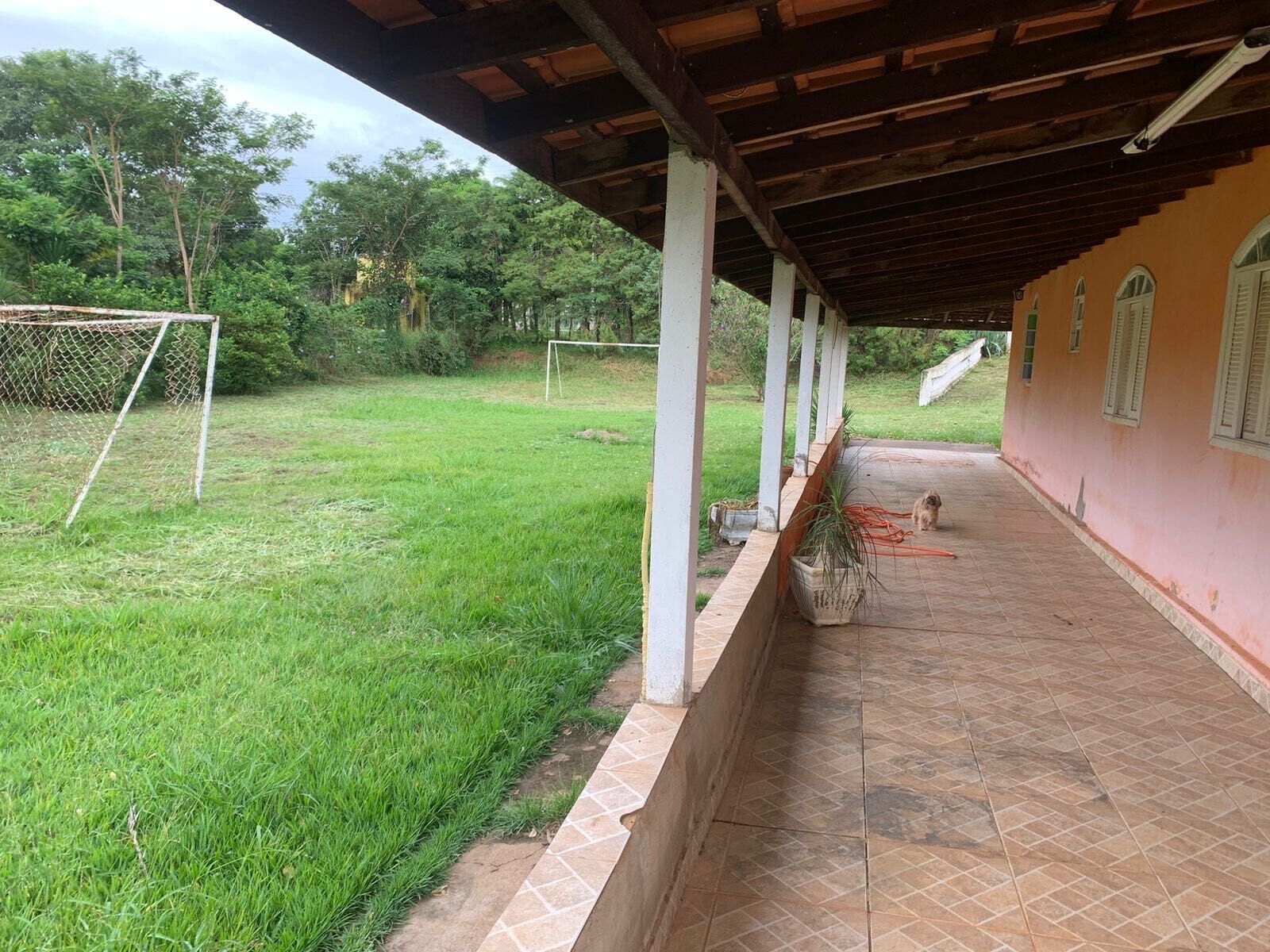 Fazenda à venda com 4 quartos, 5000m² - Foto 5