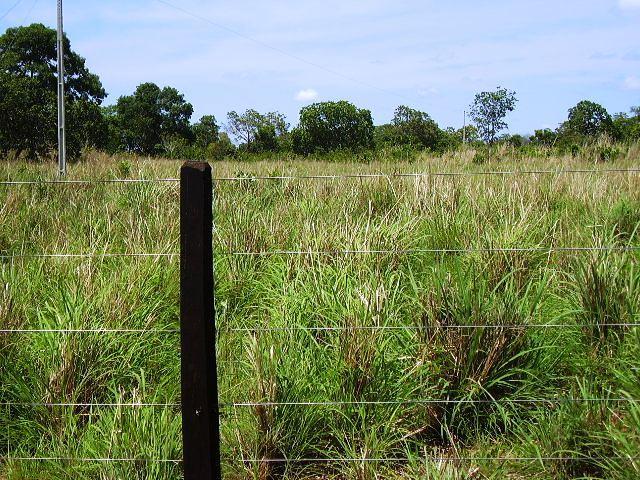 Fazenda à venda - Foto 23