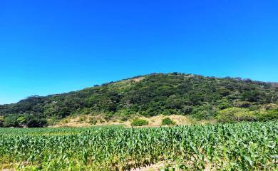 Fazenda à venda com 3 quartos, 160000m² - Foto 19