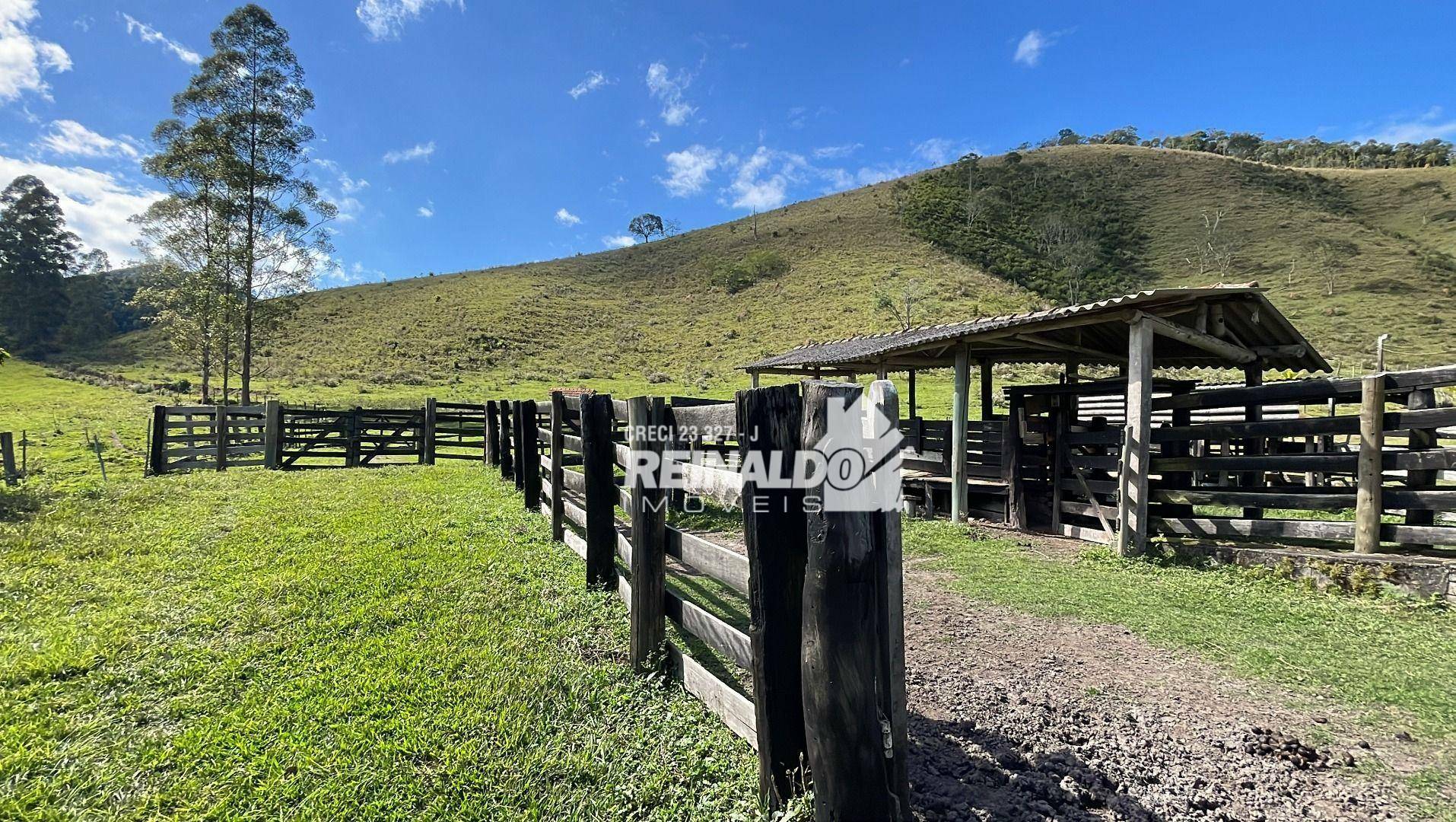 Fazenda à venda com 8 quartos, 900m² - Foto 61