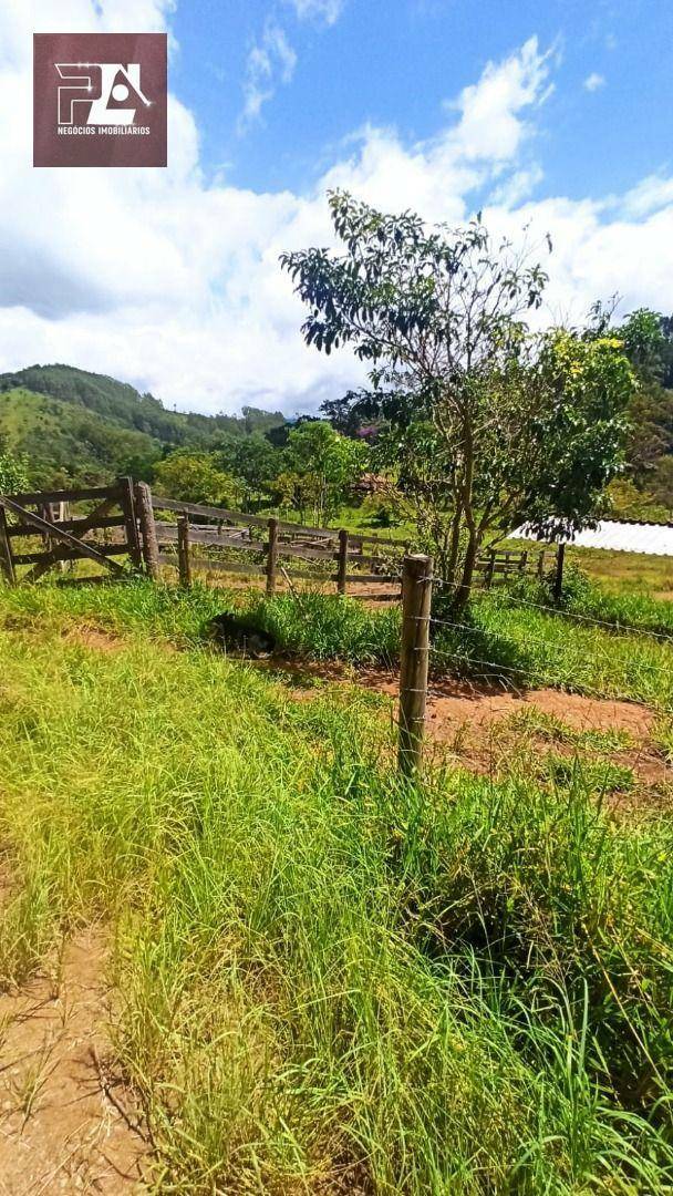 Fazenda à venda com 4 quartos, 1452000M2 - Foto 24