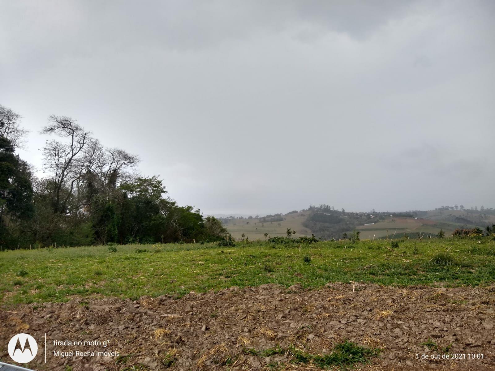 Fazenda à venda com 8 quartos, 3146000m² - Foto 11