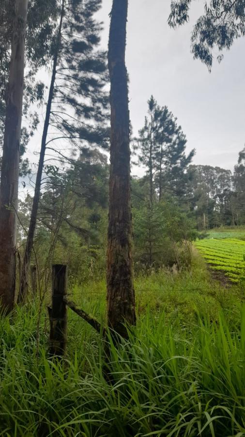 Fazenda à venda, 21m² - Foto 19