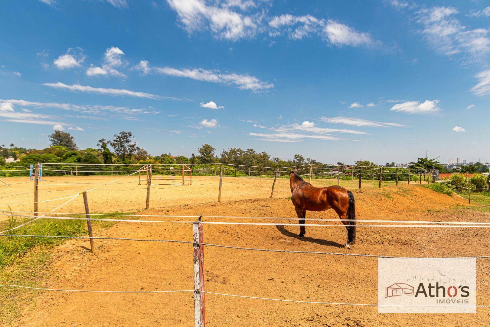 Haras e Área Rural Padrão à venda, 20140M2 - Foto 16