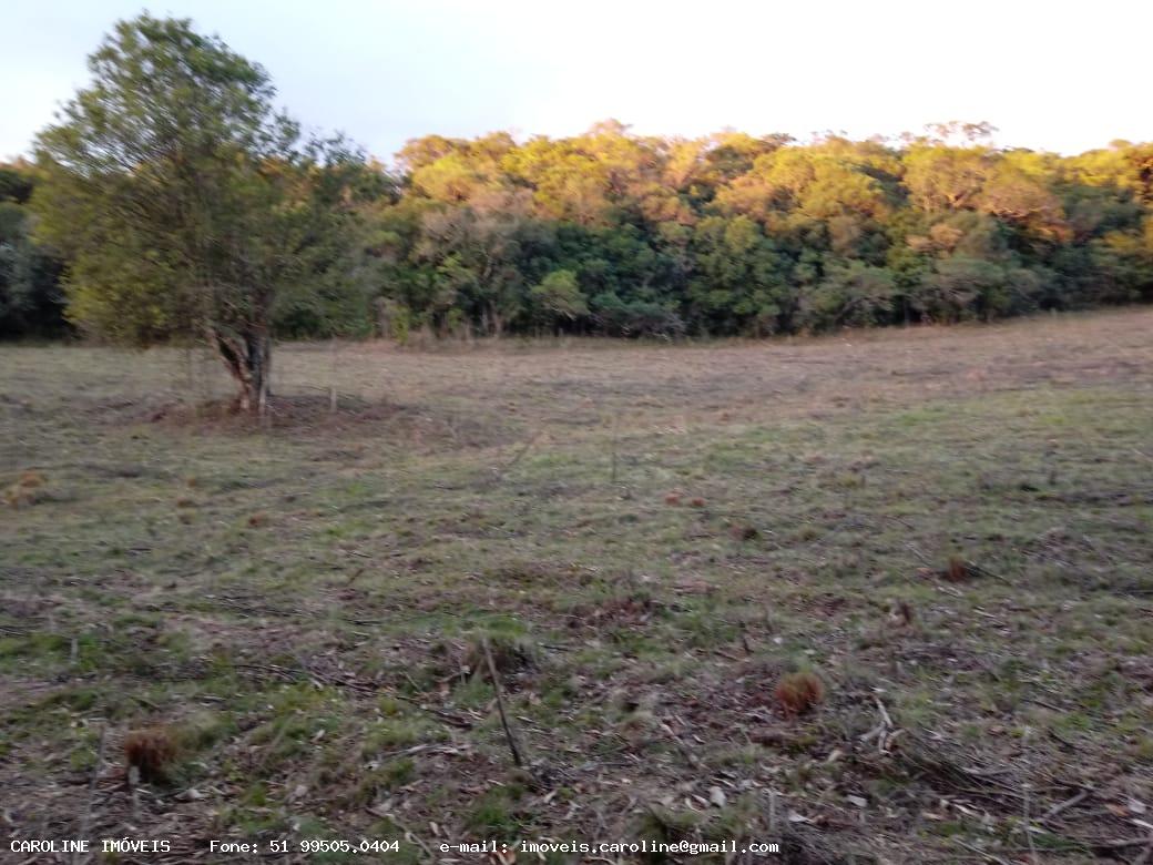 Loteamento e Condomínio à venda, 40000m² - Foto 3