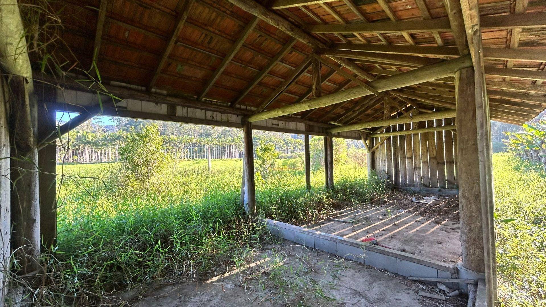 Sítio, 19 hectares - Foto 19