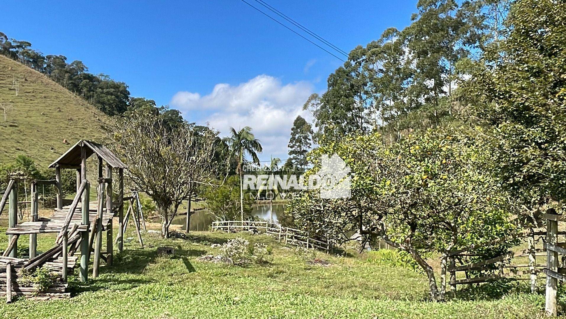 Fazenda à venda com 8 quartos, 900m² - Foto 42