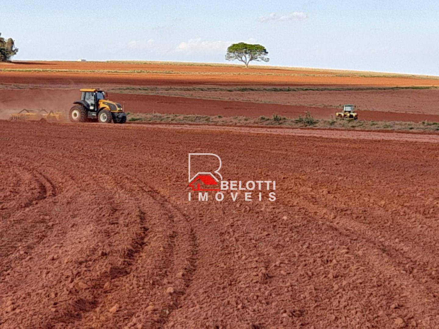 Fazenda-Sítio-Chácara, 1350 hectares - Foto 4