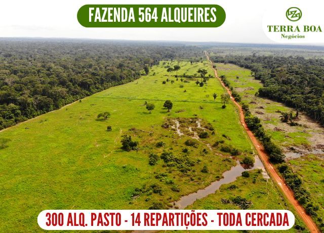 Fazenda-Sítio-Chácara, 1365 hectares - Foto 1