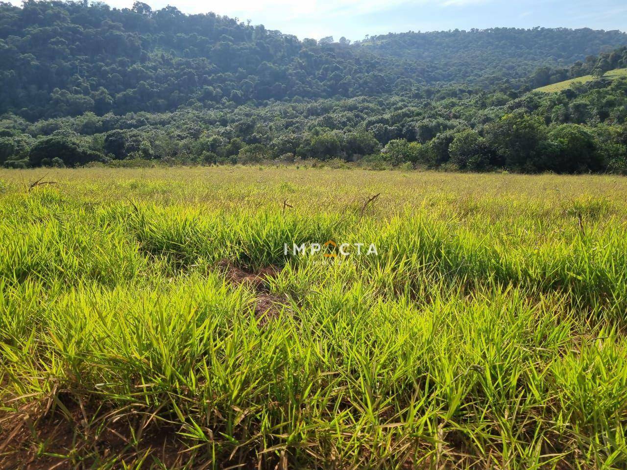 Terreno à venda, 1597200M2 - Foto 18