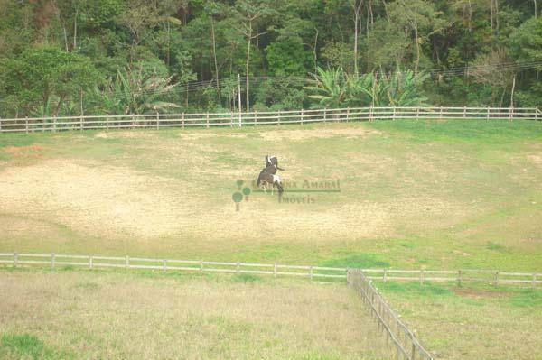 Fazenda à venda com 3 quartos, 500m² - Foto 23