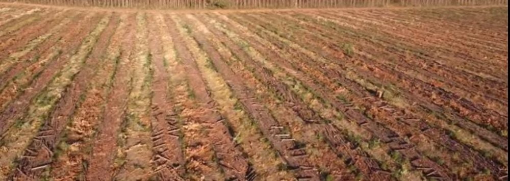 Fazenda à venda, 1700m² - Foto 7