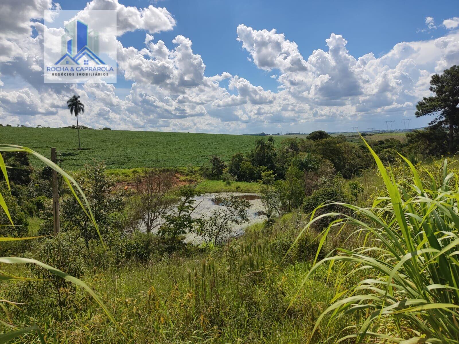 Fazenda à venda com 2 quartos, 726000m² - Foto 3