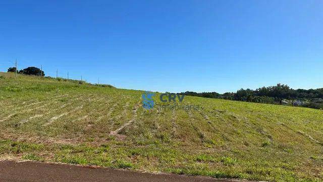 Loteamento e Condomínio à venda, 1600M2 - Foto 2