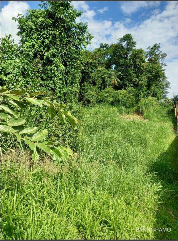 Terreno, 7208 m² - Foto 7