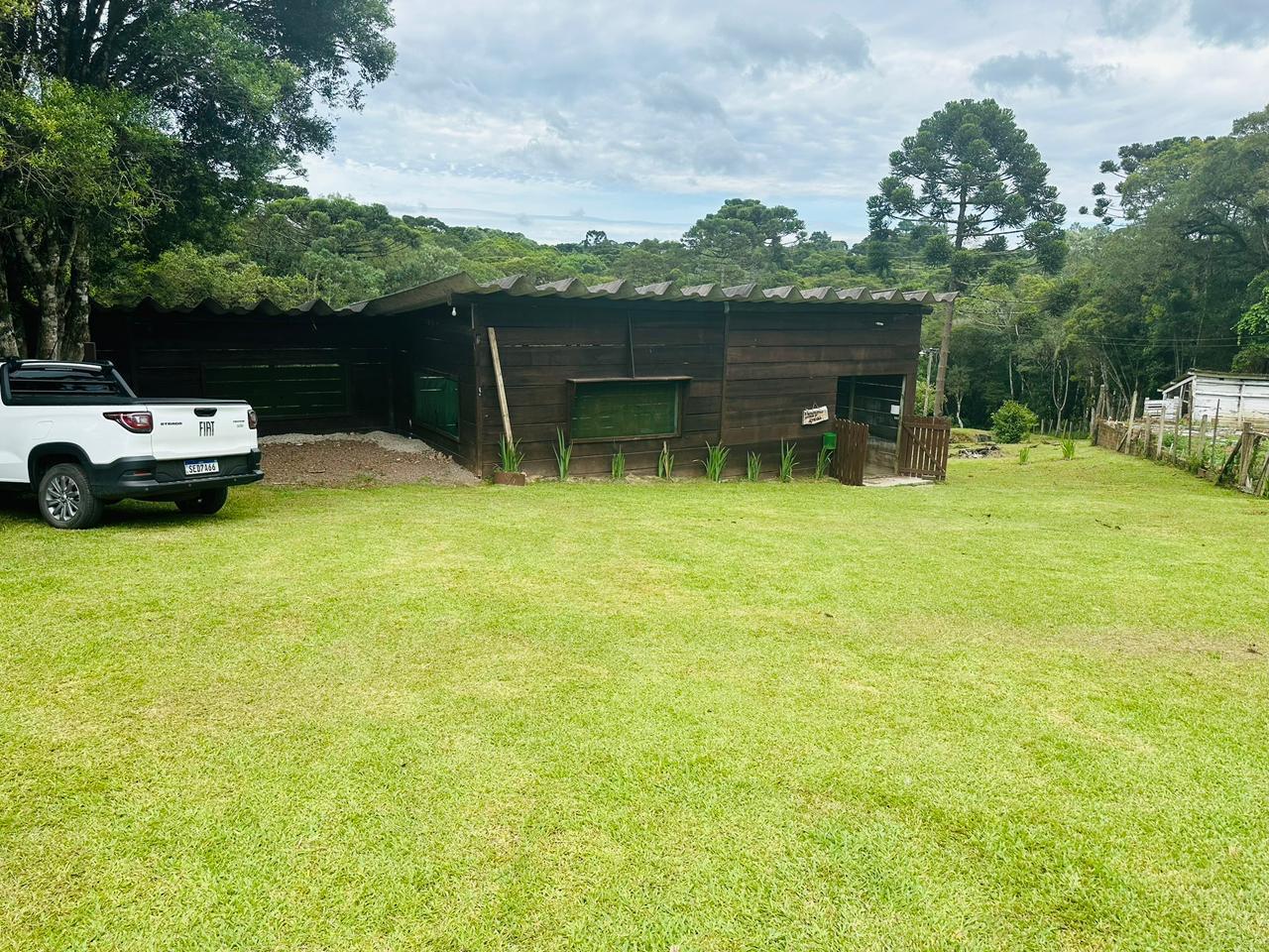 Fazenda à venda com 3 quartos, 8000m² - Foto 34